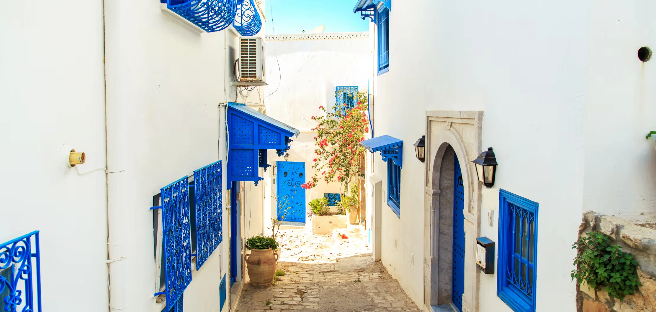 Mediterranean