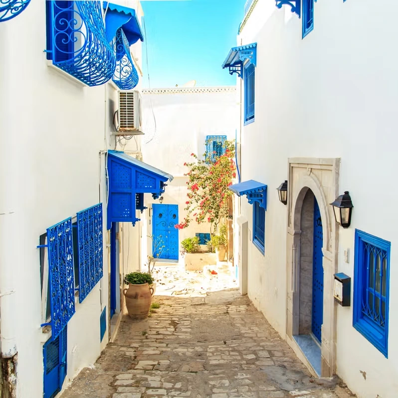 Mediterranean 2025